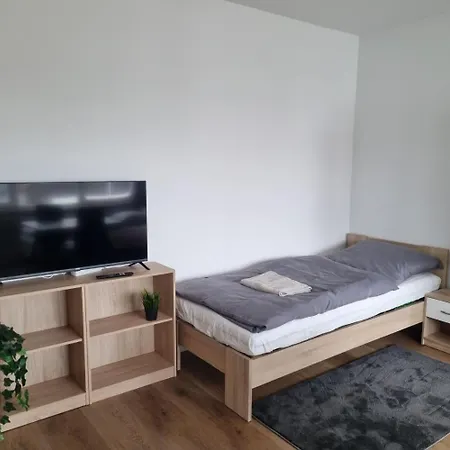 Cozy Studio-apartment In Hattersheim Apartment *
